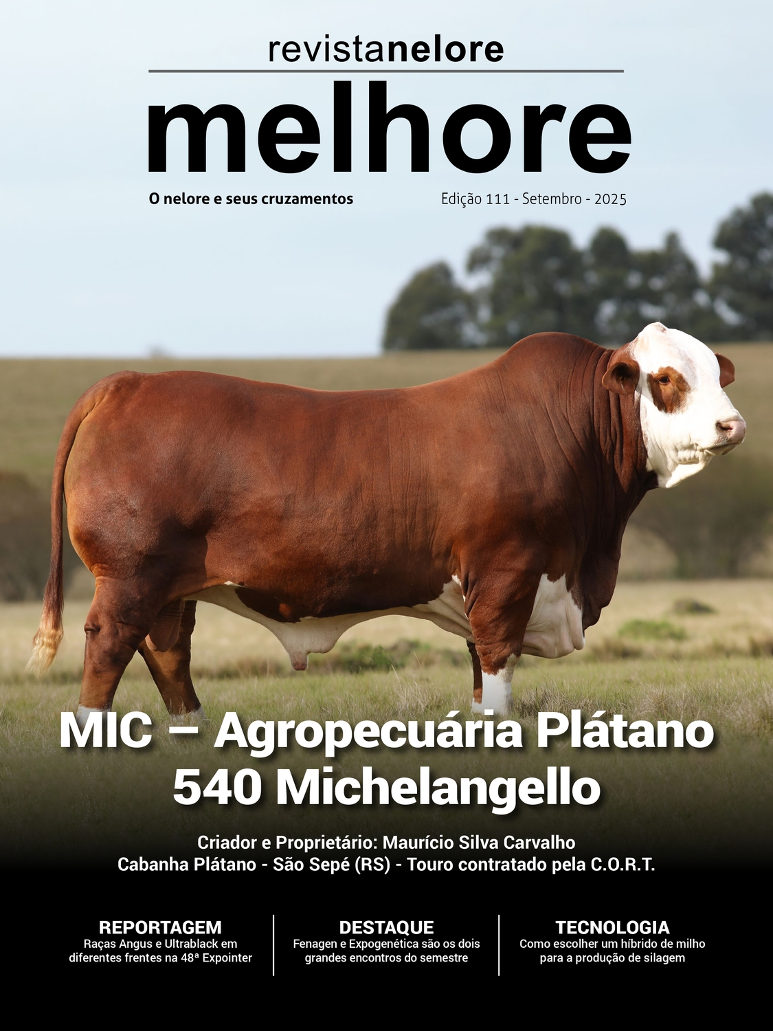 Melhore 111